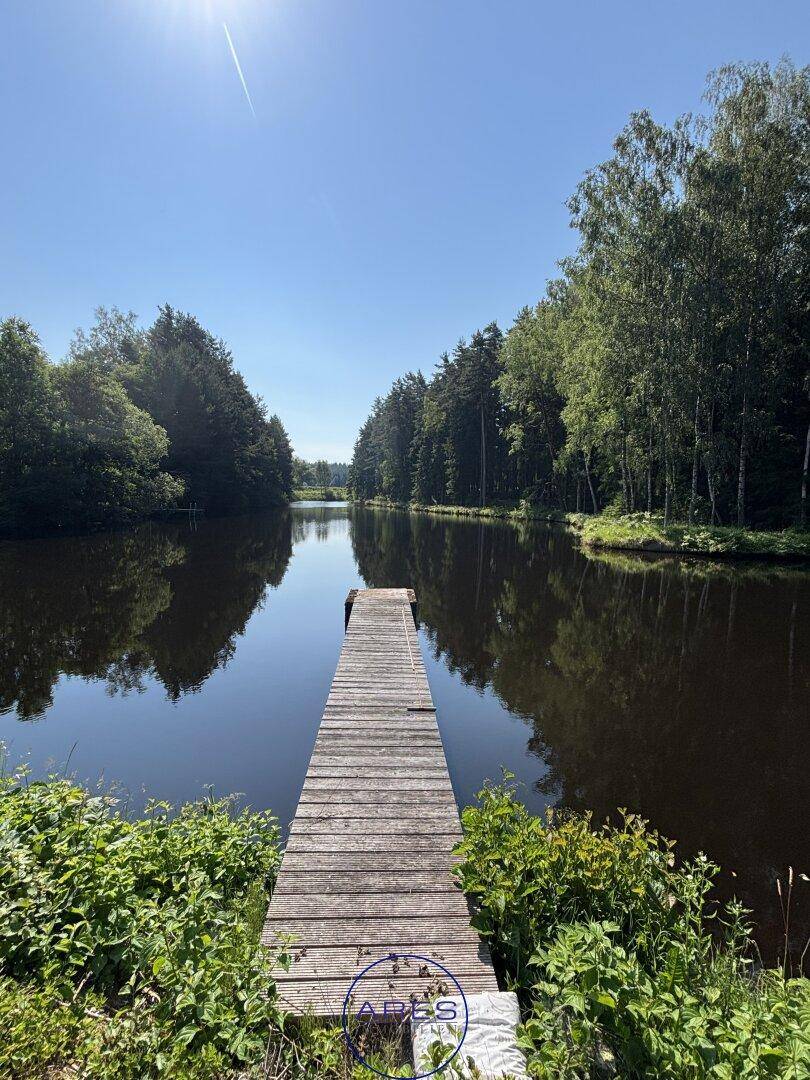 Langer Holzsteg führt über den ruhigen Teich, umgeben von dichtem Wald und grüner Natur.