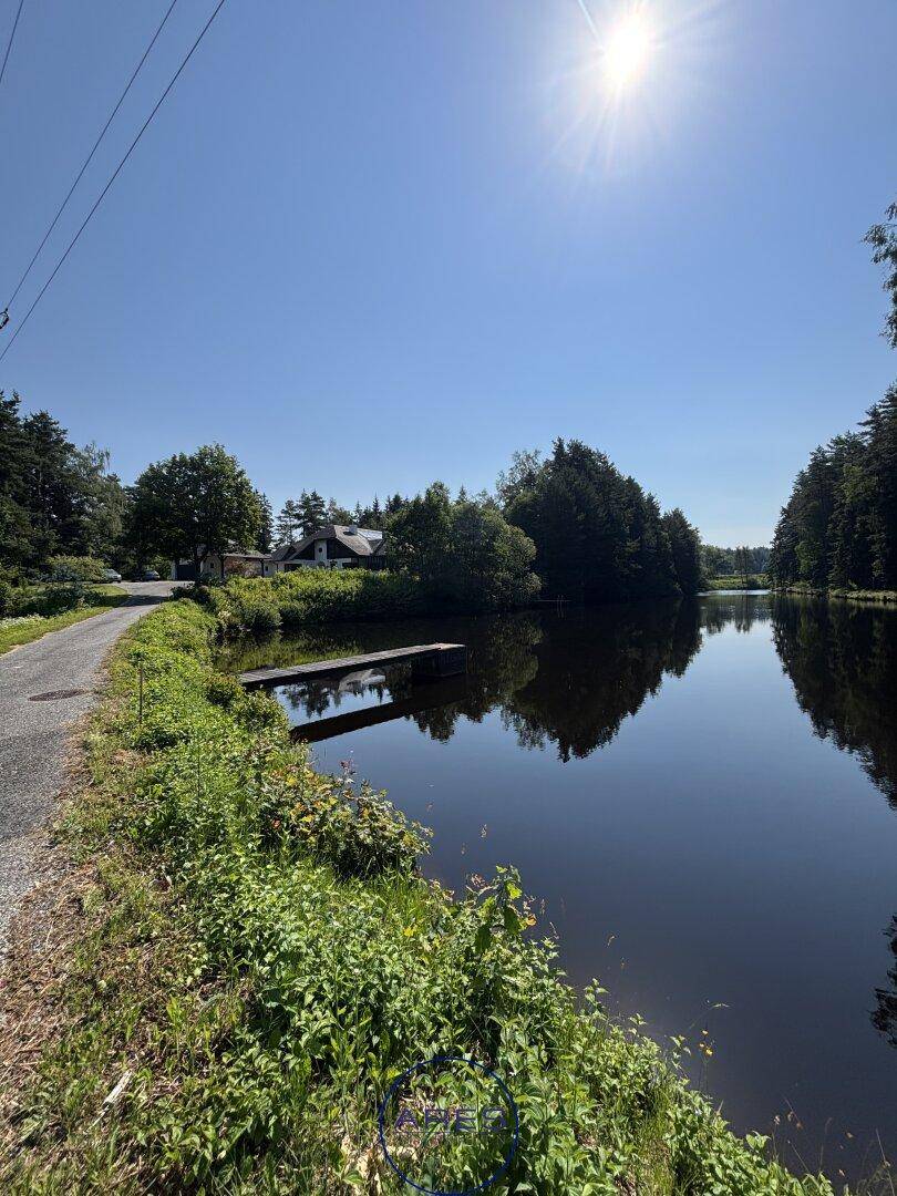 Weitläufiger Blick über den Teich mit einem Steg und dem Anwesen im Hintergrund unter blauem Himmel.