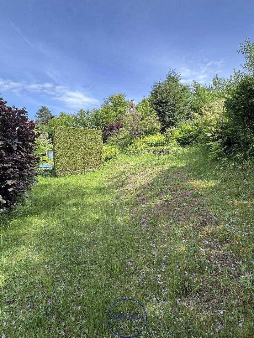 Großer, offener Gartenbereich mit Rasen und Bäumen unter blauem Himmel.