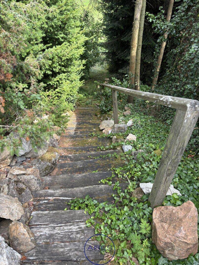 Rustikale Holztreppe führt durch üppiges Grün in einem naturbelassenen Gartenbereich.