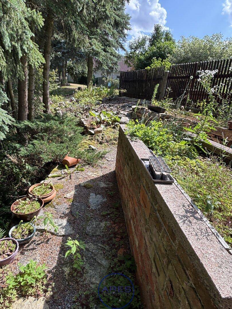 Naturbelassener Gartenbereich mit einer niedrigen Ziegelmauer und verschiedenen Pflanzen.
