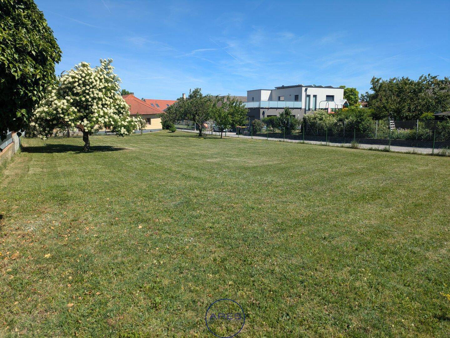 Weitläufige Rasenfläche des Grundstücks mit Bäumen und Blick auf moderne Gebäude in der Ferne.