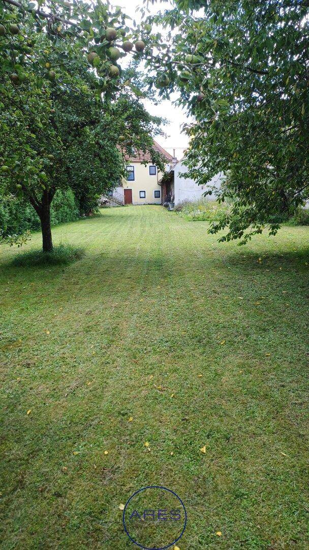 Weitläufiger Gartenbereich mit altem Baumbestand und Blick auf das hintere Gebäude.