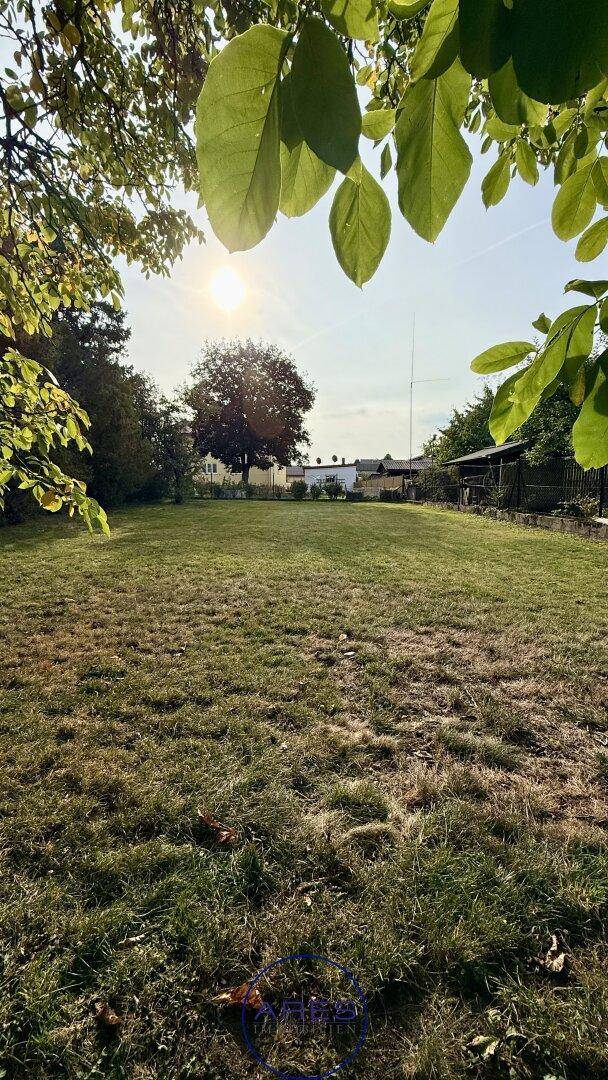 Weitläufiger, sonniger Gartenbereich mit gepflegtem Rasen und Bäumen am Horizont unter klarem Himmel.