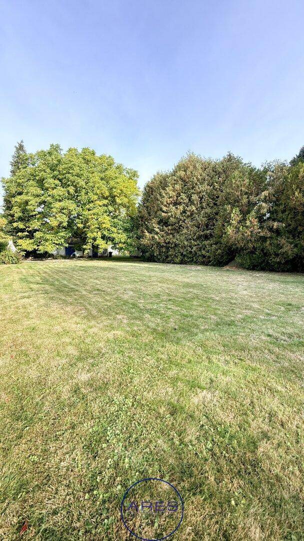 Panoramablick auf einen weitläufigen, gepflegten Rasen, umgeben von dichtem Baumbestand unter blauem Himmel.