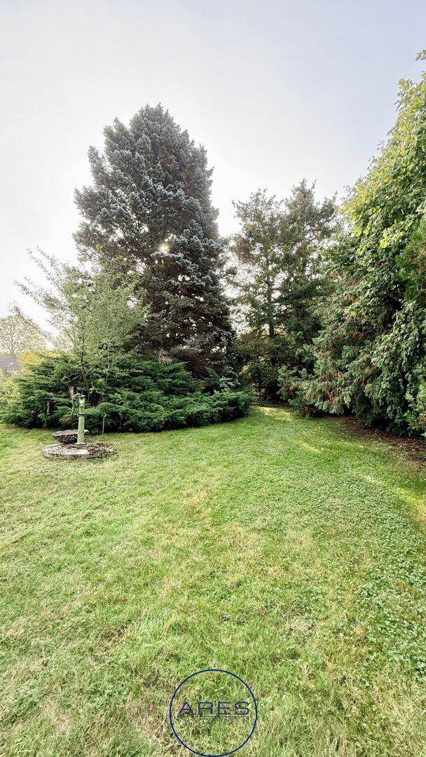 Gepflegter Gartenbereich mit Rasen, verschiedenen Bäumen und Sträuchern unter hellem Himmel.