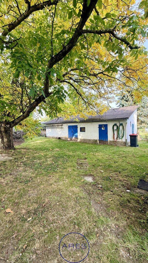 Gartenbereich mit einem großen Baum und einem Nebengebäude mit blauen Türen im Hintergrund.