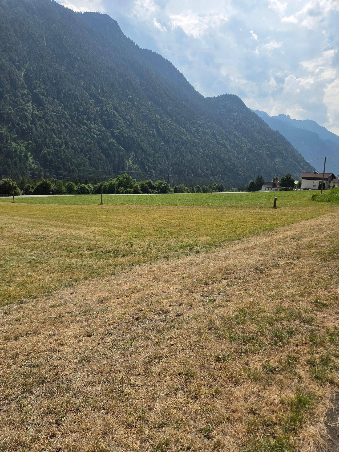 Panoramablick über ein großes Feld mit grünen und trockenen Grasflächen, umgeben von bewaldeten Bergen.