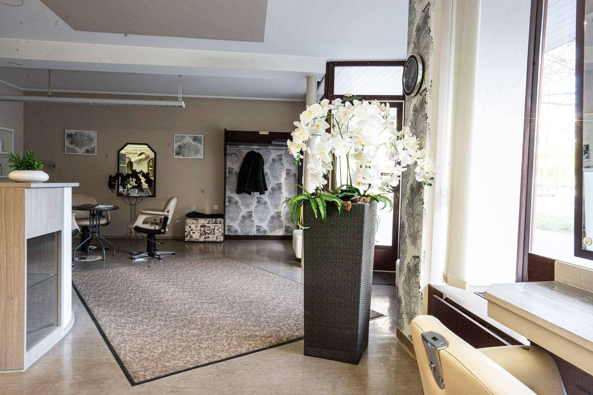 Eingangsbereich eines Salons mit großem Teppich, Pflanzen und Blick auf die Arbeitsbereiche und Fenster.