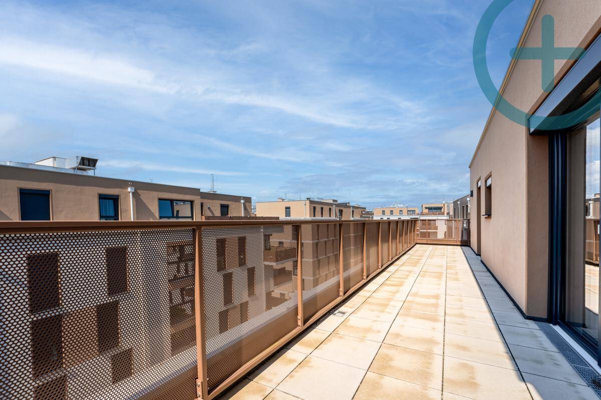 Weitläufige Dachterrasse mit moderner Metallbrüstung und Ausblick auf die umliegende Bebauung.