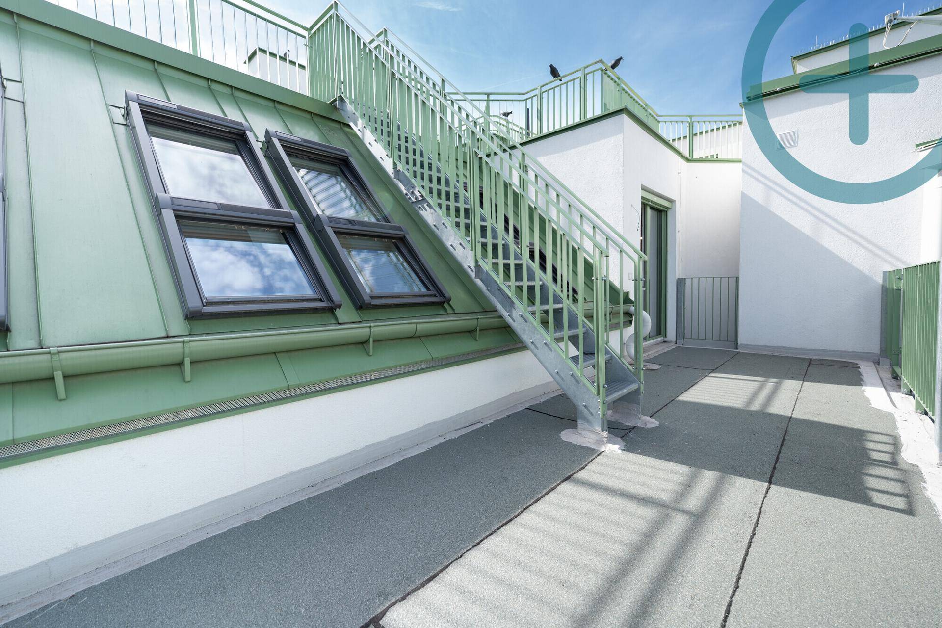 Dachterrasse mit Zugang über eine Metalltreppe und Blick auf die Dachfenster des Gebäudes.