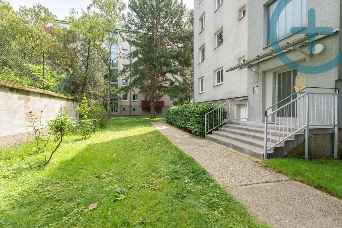Gepflegter Gartenbereich mit Rasenfläche und Zugang zum Mehrfamilienhaus.