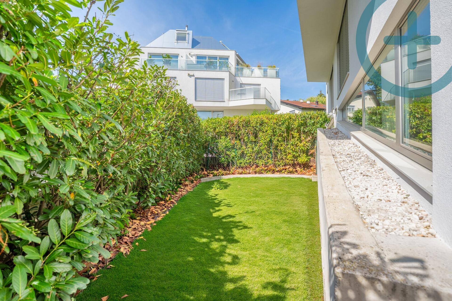 Schmaler Rasenstreifen neben dem Haus, umgeben von einer hohen Hecke und Kiesbeet.