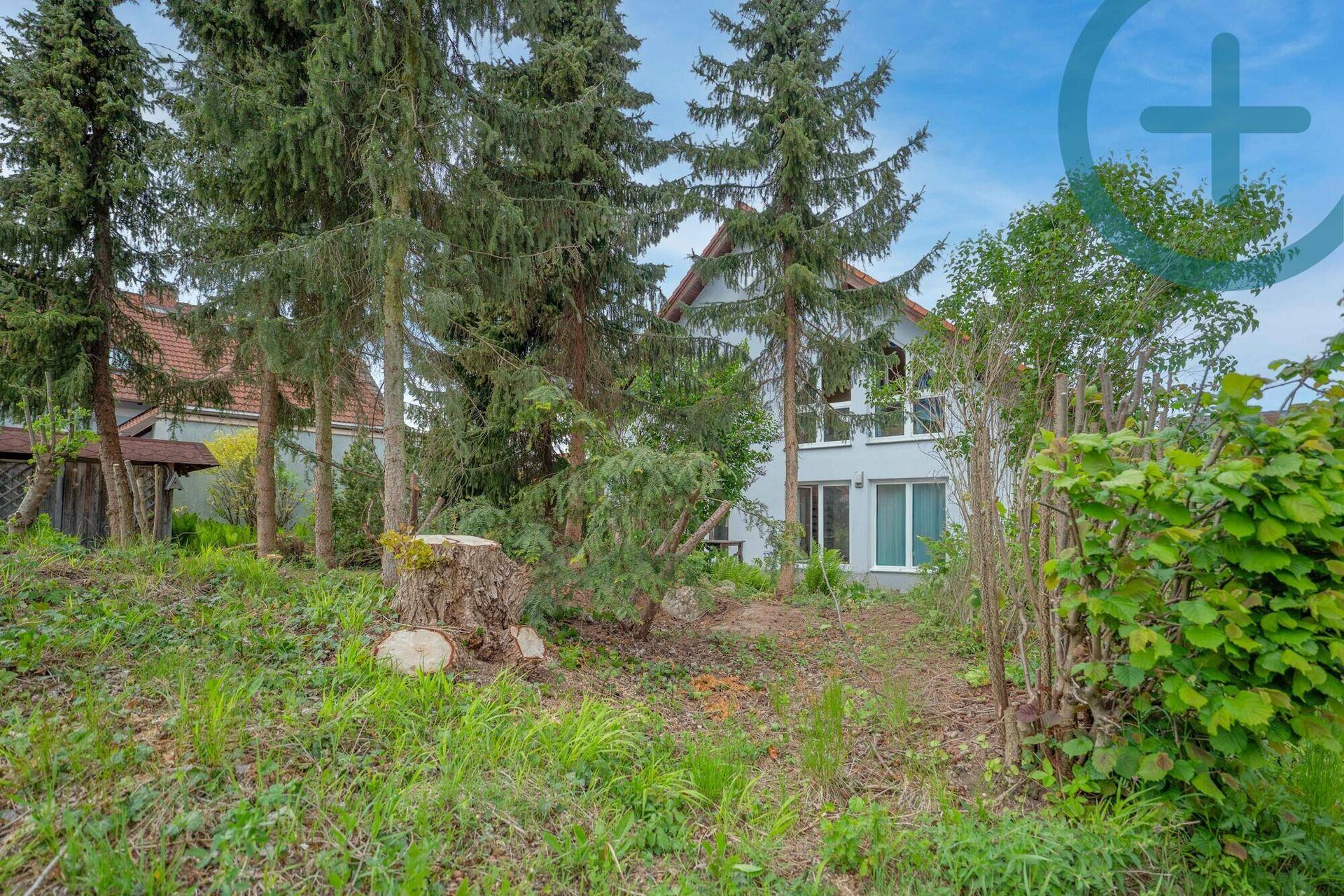 Rückansicht des Hauses von einem grünen Gartenbereich mit Bäumen und einem Baumstumpf.