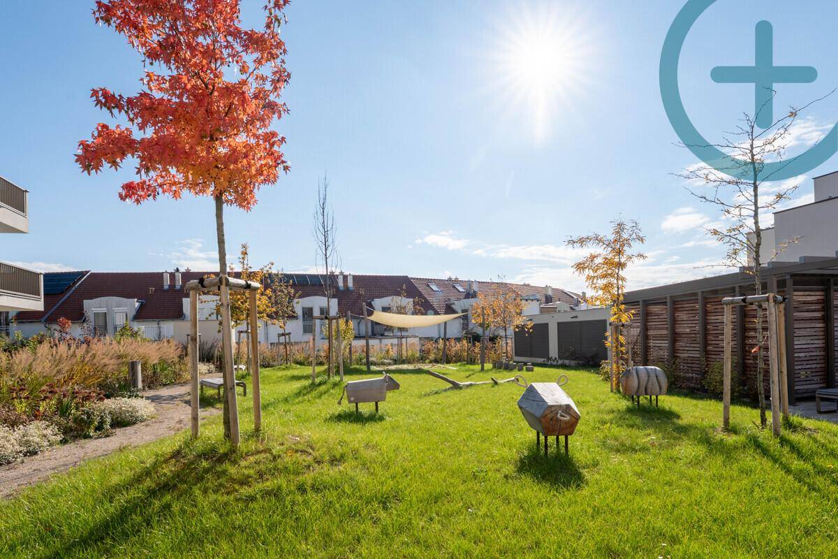 Gemeinschaftlicher Gartenbereich mit Rasenflächen, jungen Bäumen und Spielgeräten für Kinder.