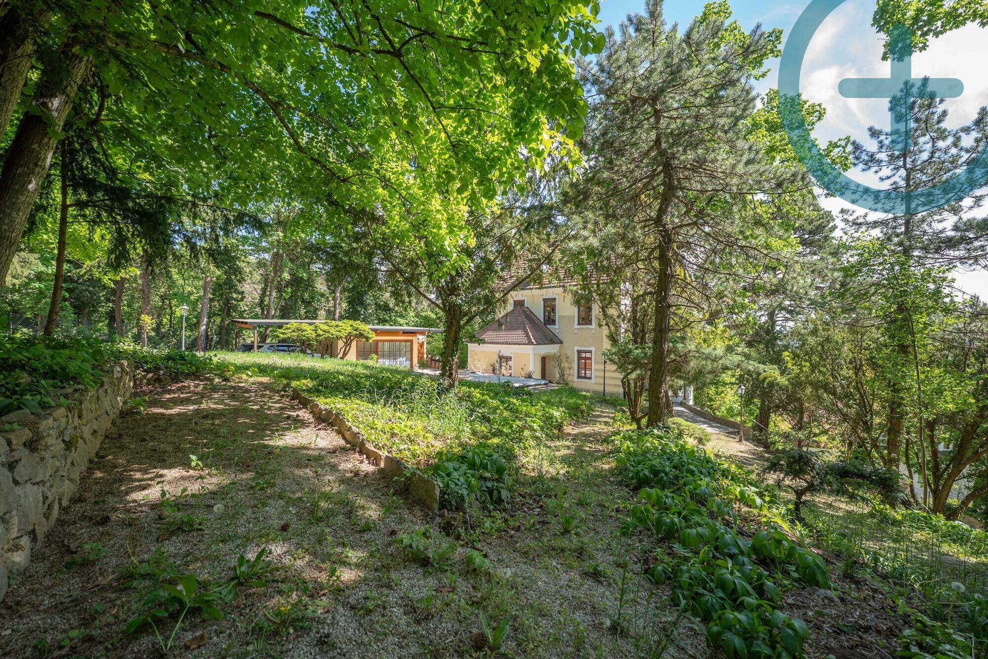 Weitläufiger Gartenbereich mit altem Baumbestand und Blick auf die Villa.