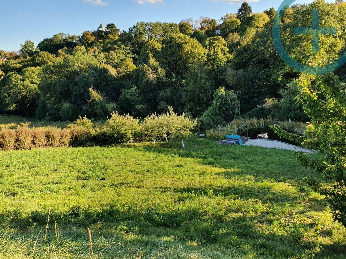 Idyllische Grünfläche mit Obstbäumen und dichter Vegetation, umgeben von bewaldeten Hügeln.