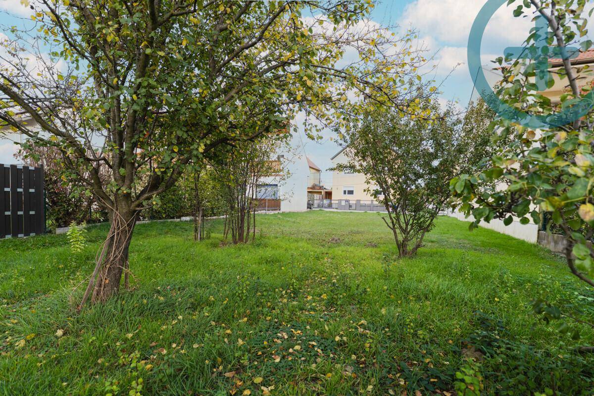 Weitläufiger Garten mit Rasen und Obstbäumen, ideal für Erholung im Freien.