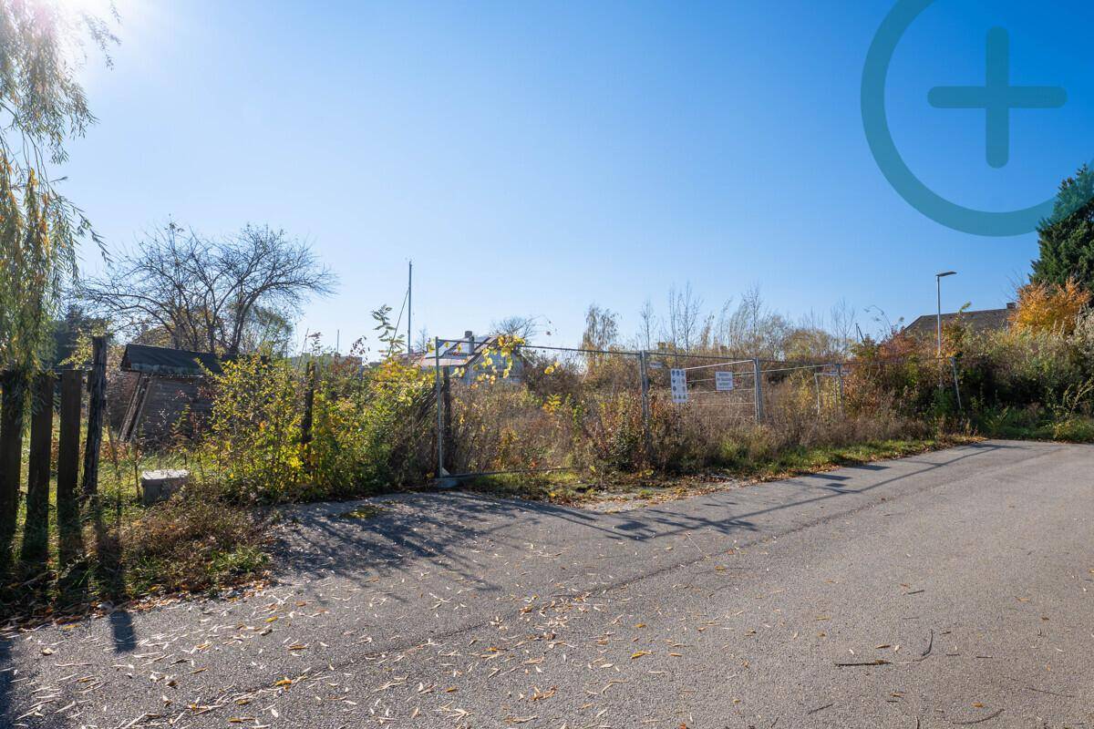 Unbebautes Grundstück mit Zaun und wilder Vegetation neben einer asphaltierten Straße.