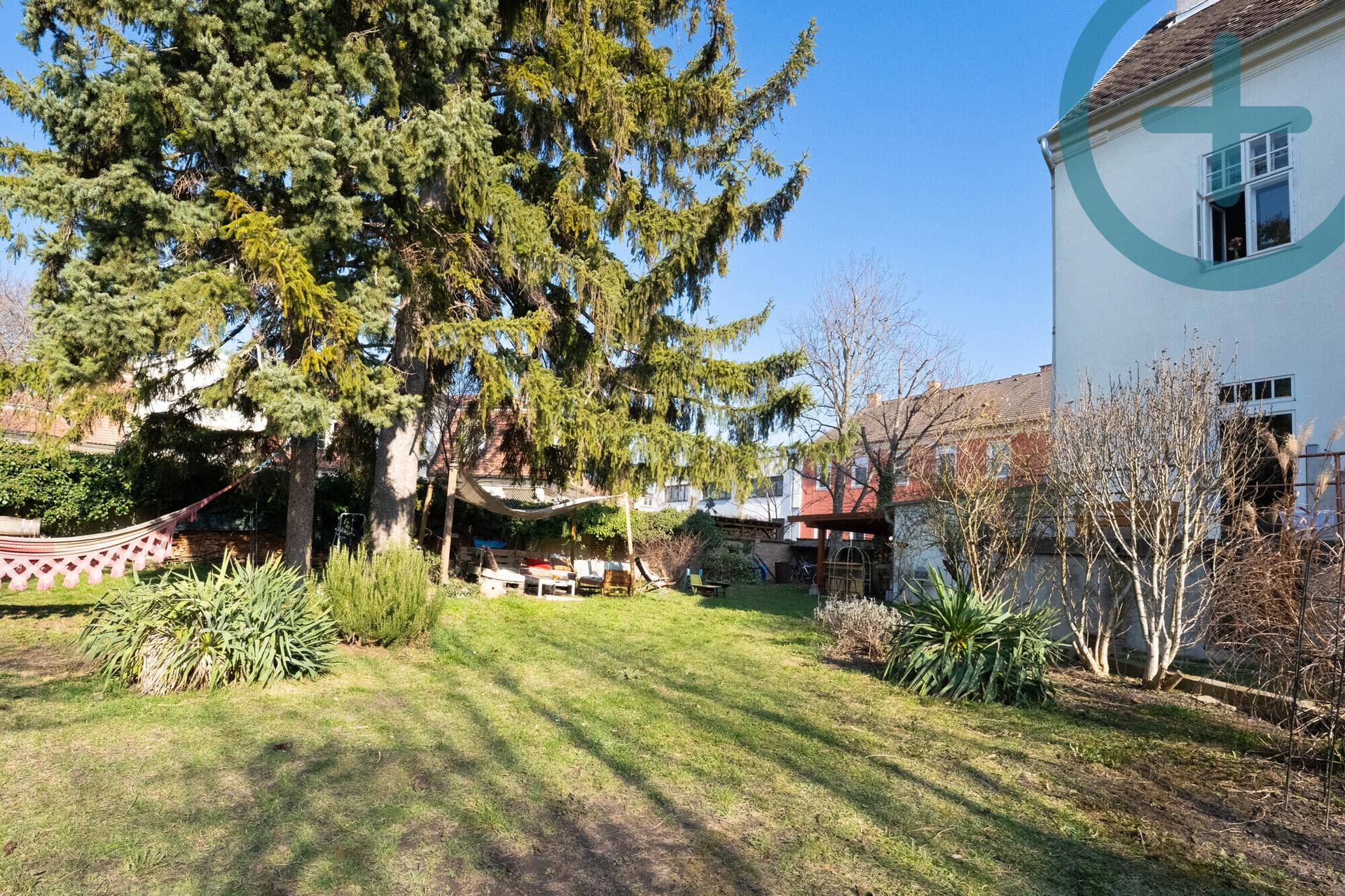 Weitläufiger Garten mit Rasenfläche, Bäumen und einer Hängematte im Sonnenlicht.