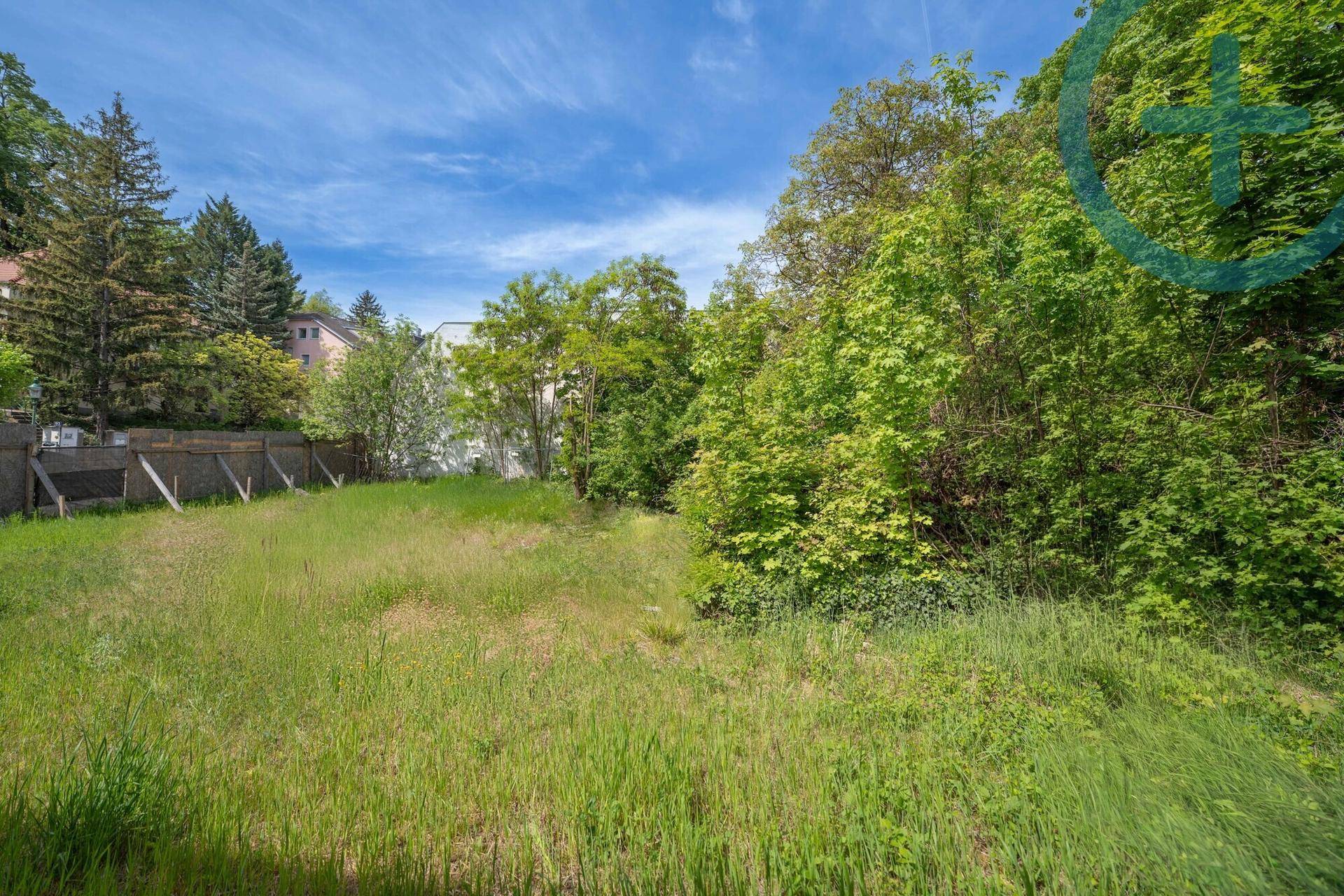 Großes, naturbelassenes Grundstück mit üppigem Baumbestand und weitem Blick.