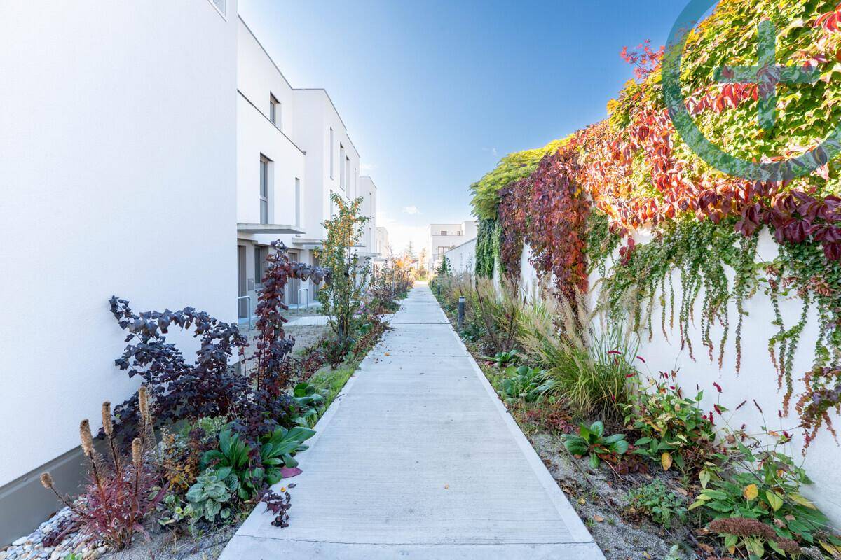Schmaler Weg zwischen modernen Gebäuden, gesäumt von üppiger Bepflanzung und Kletterpflanzen.