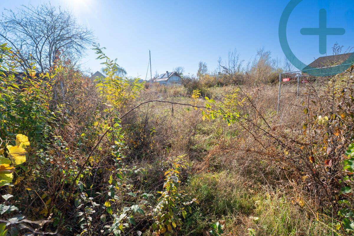 Weitläufiges, ungenutztes Grundstück mit dichter, herbstlicher Vegetation unter klarem Himmel.