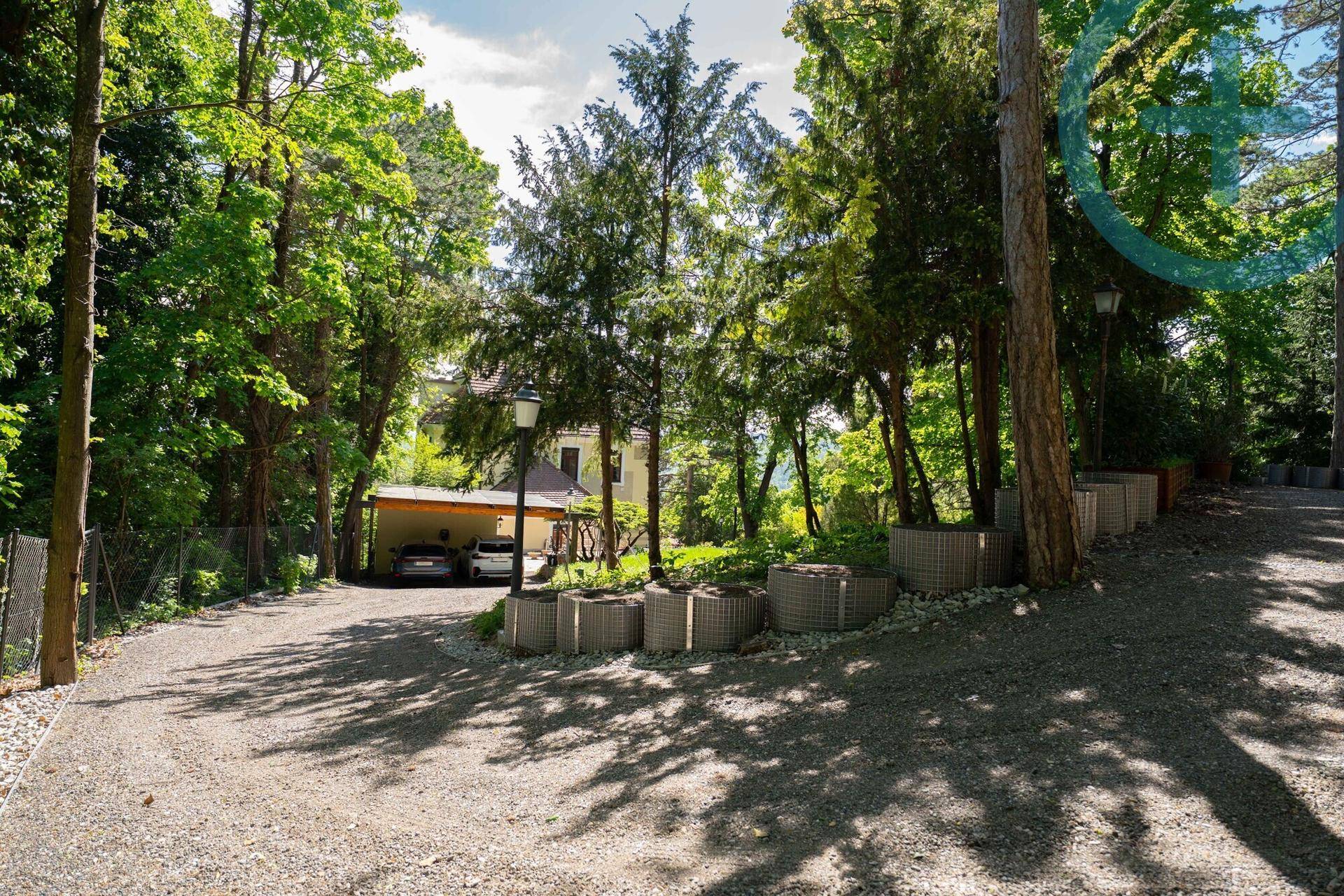 Kiesauffahrt führt durch bewaldetes Grundstück zu einem Carport und der Villa.