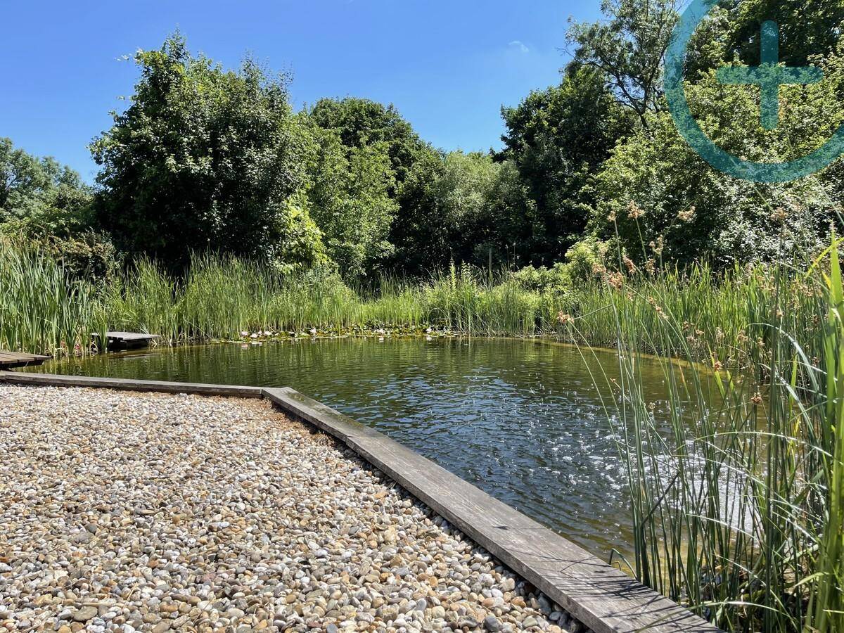 Idyllischer Naturteich mit Kiesbereich und Holzumrandung, umgeben von üppiger Vegetation.