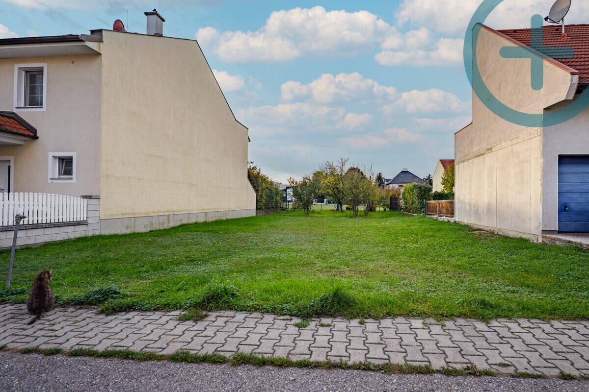 Freie Rasenfläche zwischen zwei Wohnhäusern, mit Bürgersteig und Straße im Vordergrund.
