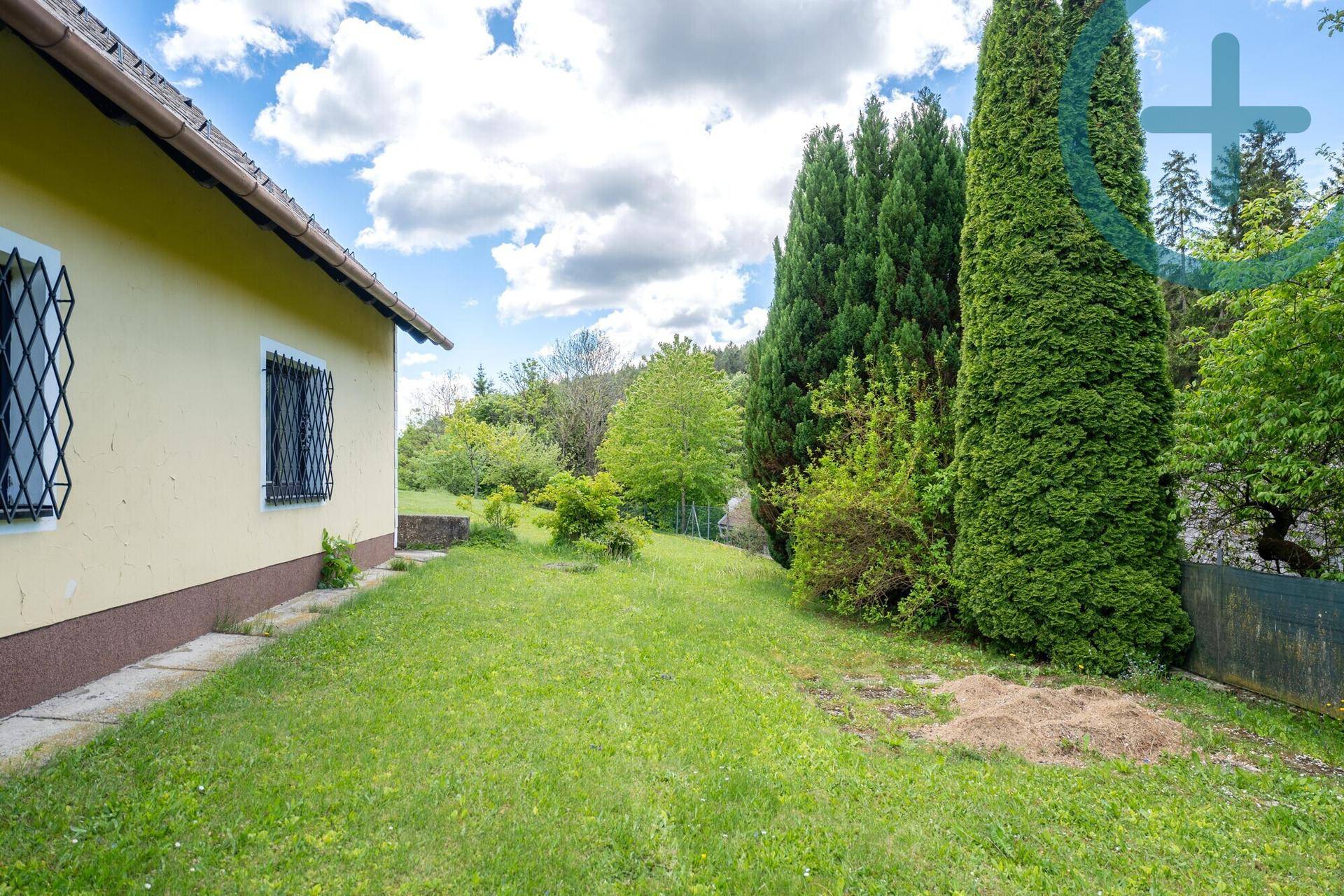 Seitlicher Gartenbereich des Hauses mit hohen Zypressen und gepflegter Rasenfläche.