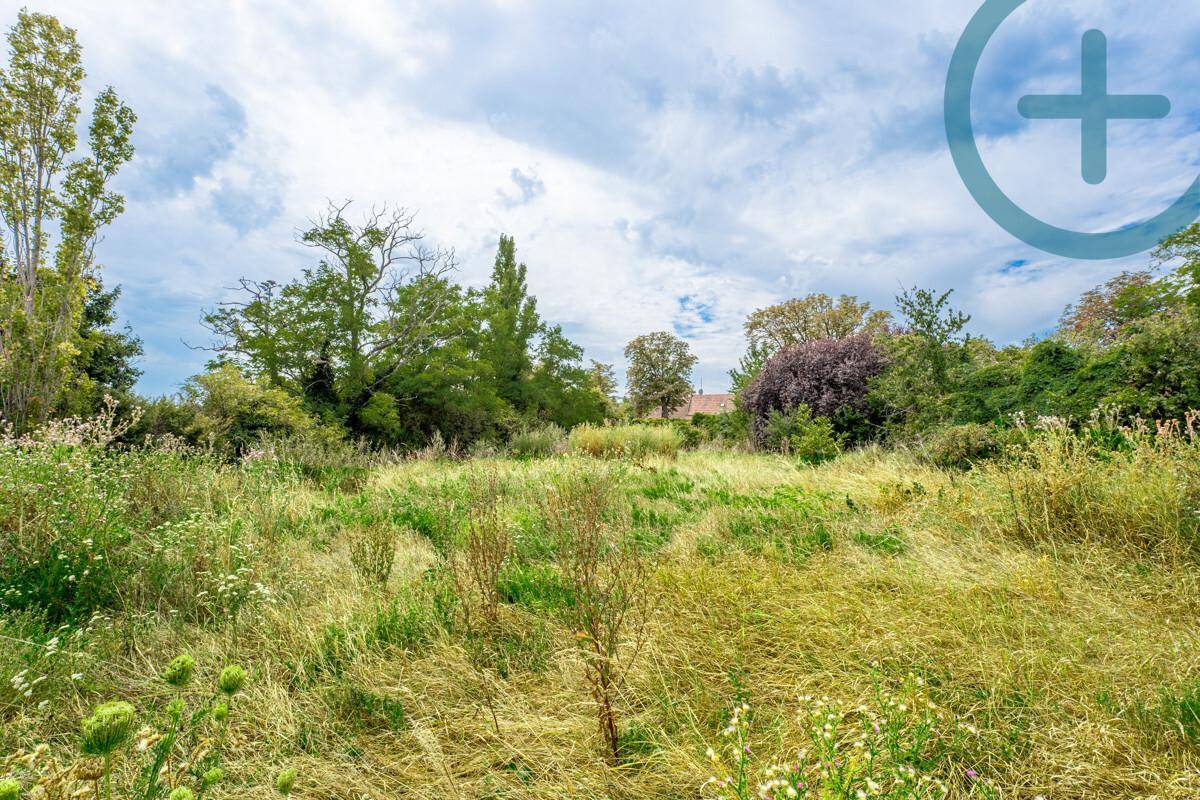 Naturbelassenes, grünes Grundstück mit hohem Gras und Bäumen unter einem bewölkten Himmel.