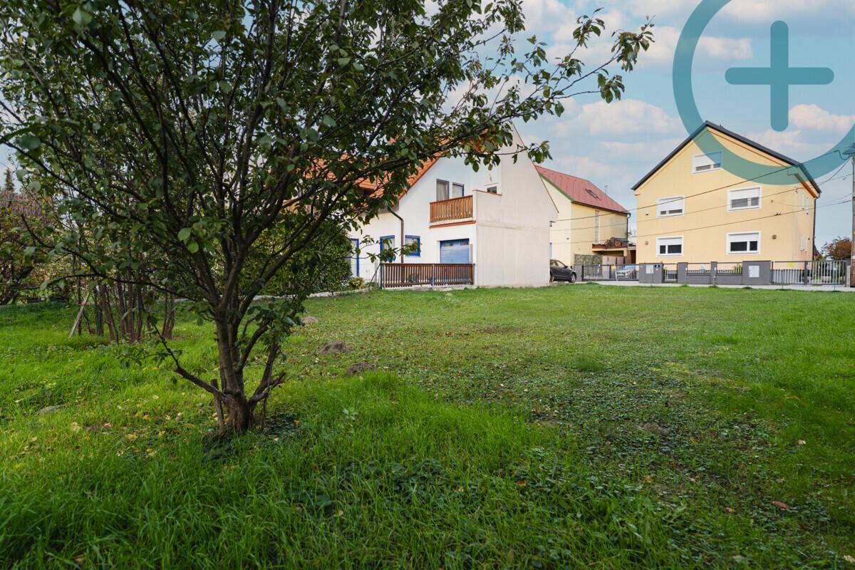 Großer Garten mit Rasen und Bäumen, umgeben von weiteren Wohnhäusern in der Nachbarschaft.