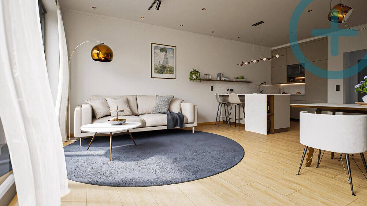 Gemütlicher Wohnbereich mit Sofa und rundem Teppich, offen zur modernen Küche.