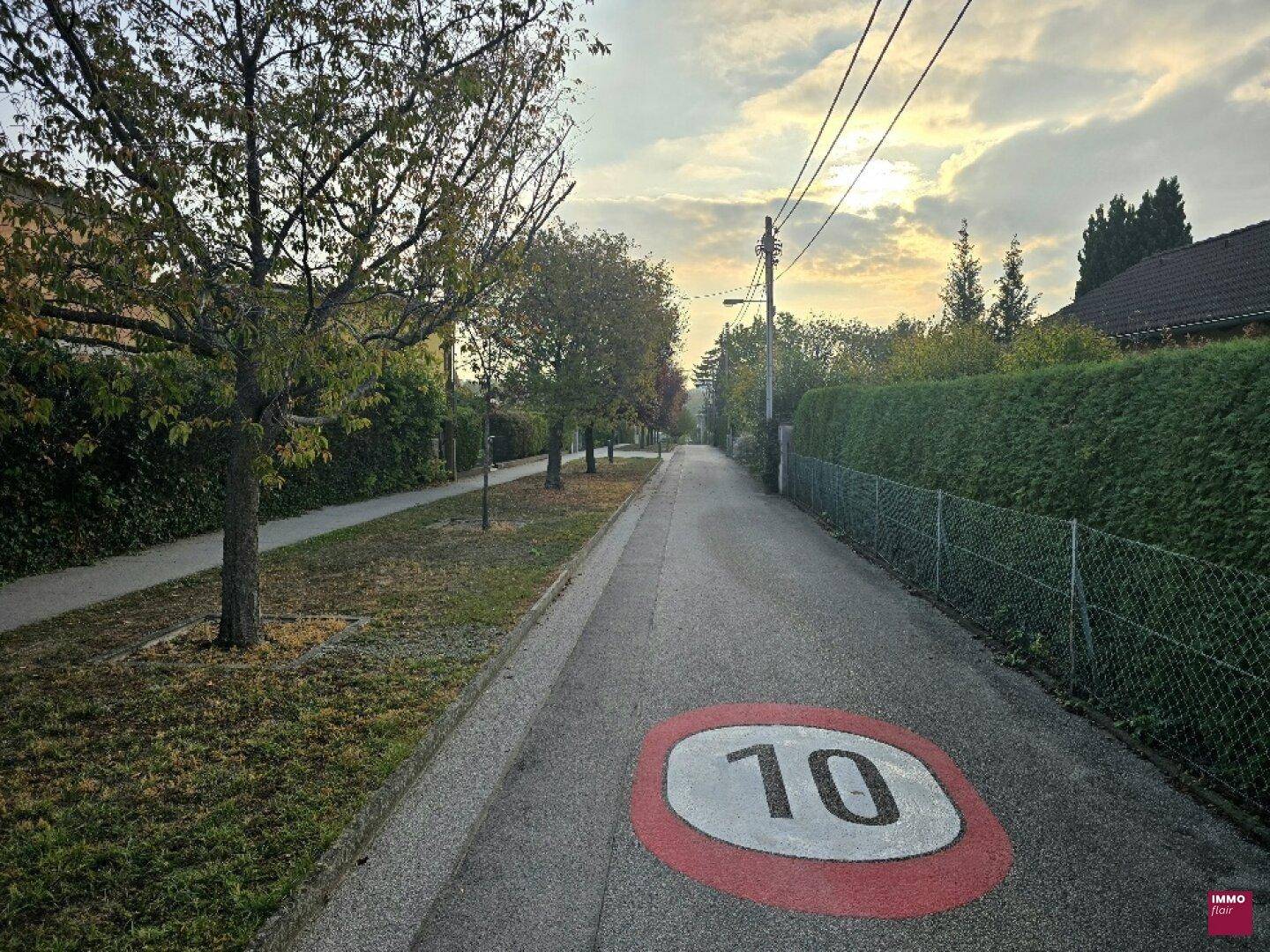 Ruhige Wohnstraße mit Geschwindigkeitsbegrenzung 10, gesäumt von Bäumen und Hecken im Abendlicht.