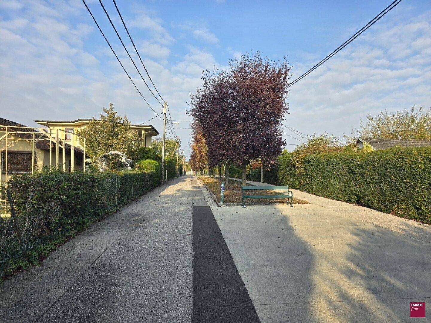 Allee mit Bäumen und einer grünen Bank, umgeben von gepflegten Hecken unter blauem Himmel.