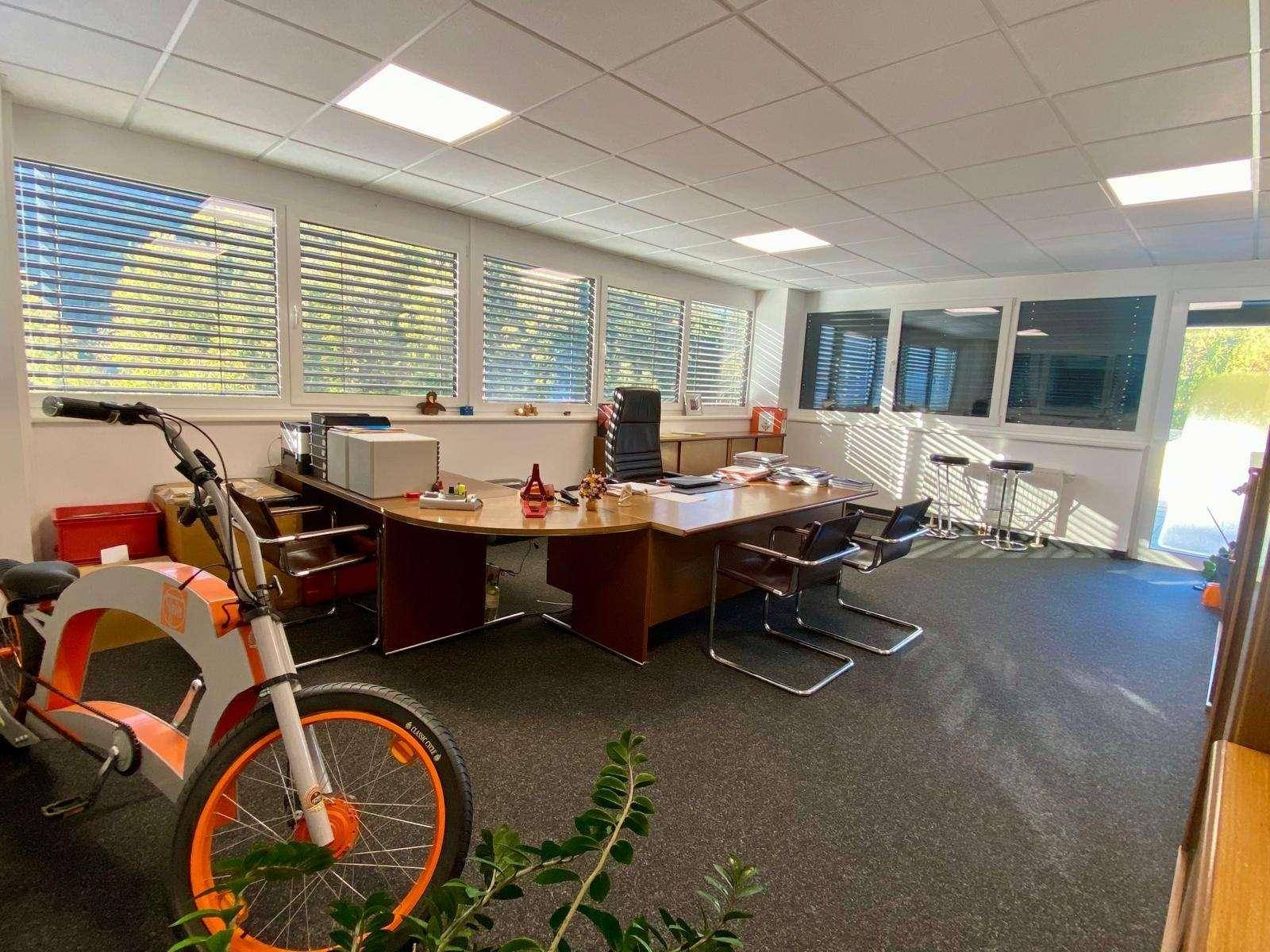 Großes Büro mit einem markanten Holzschreibtisch, Bürostühlen und vielen Fenstern, die den Raum hell machen.