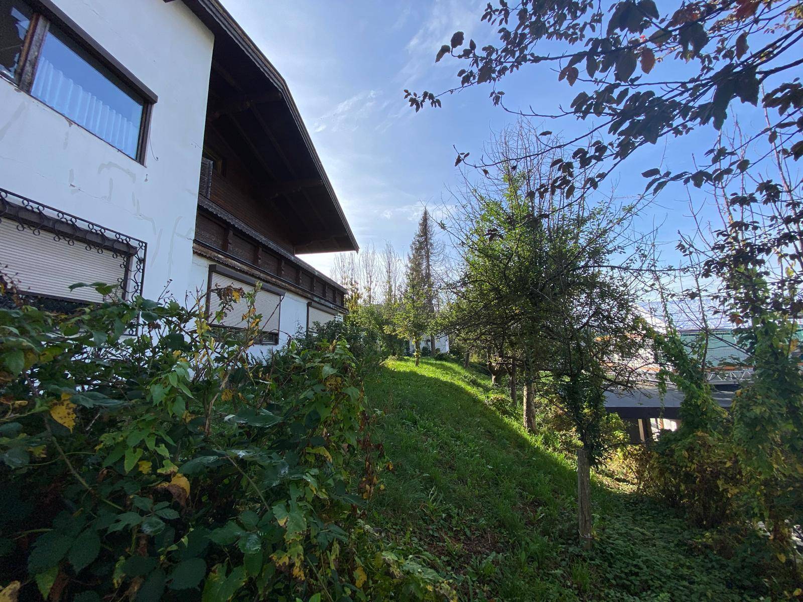 Seitenansicht des Hauses mit schattigem Gartenbereich und Blick auf die umliegende Natur.