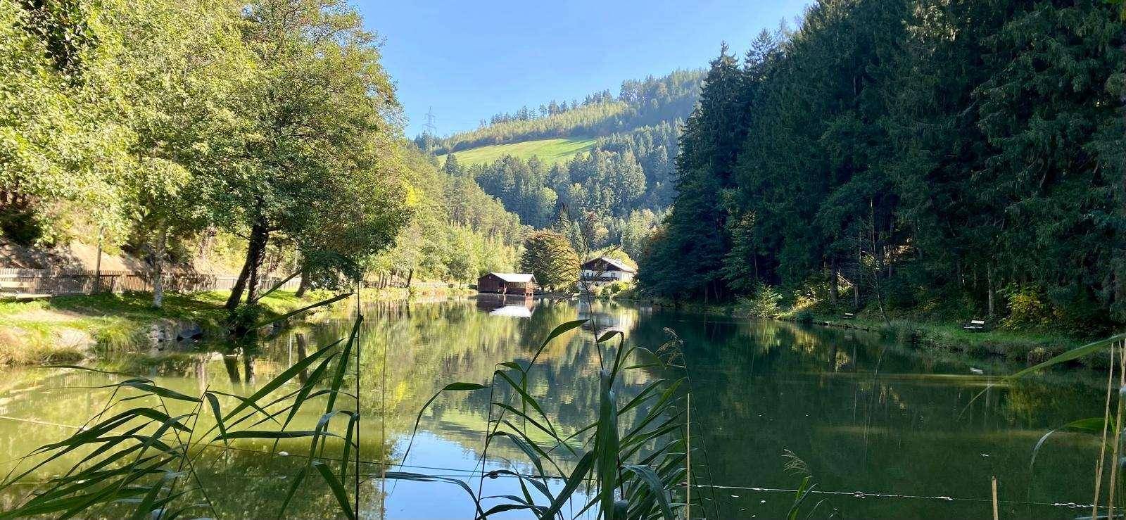Idyllischer Blick auf den See mit Schilf im Vordergrund und Häusern am gegenüberliegenden Ufer.