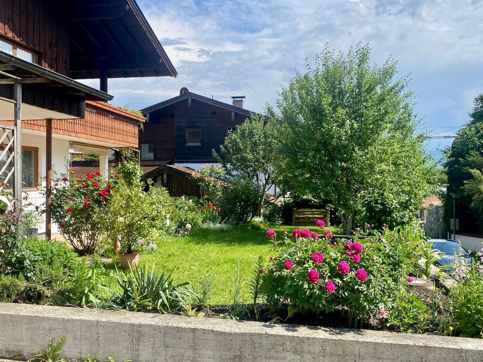Blühender Garten mit Rasenfläche und verschiedenen Pflanzen, umgeben von Bäumen und Sträuchern.