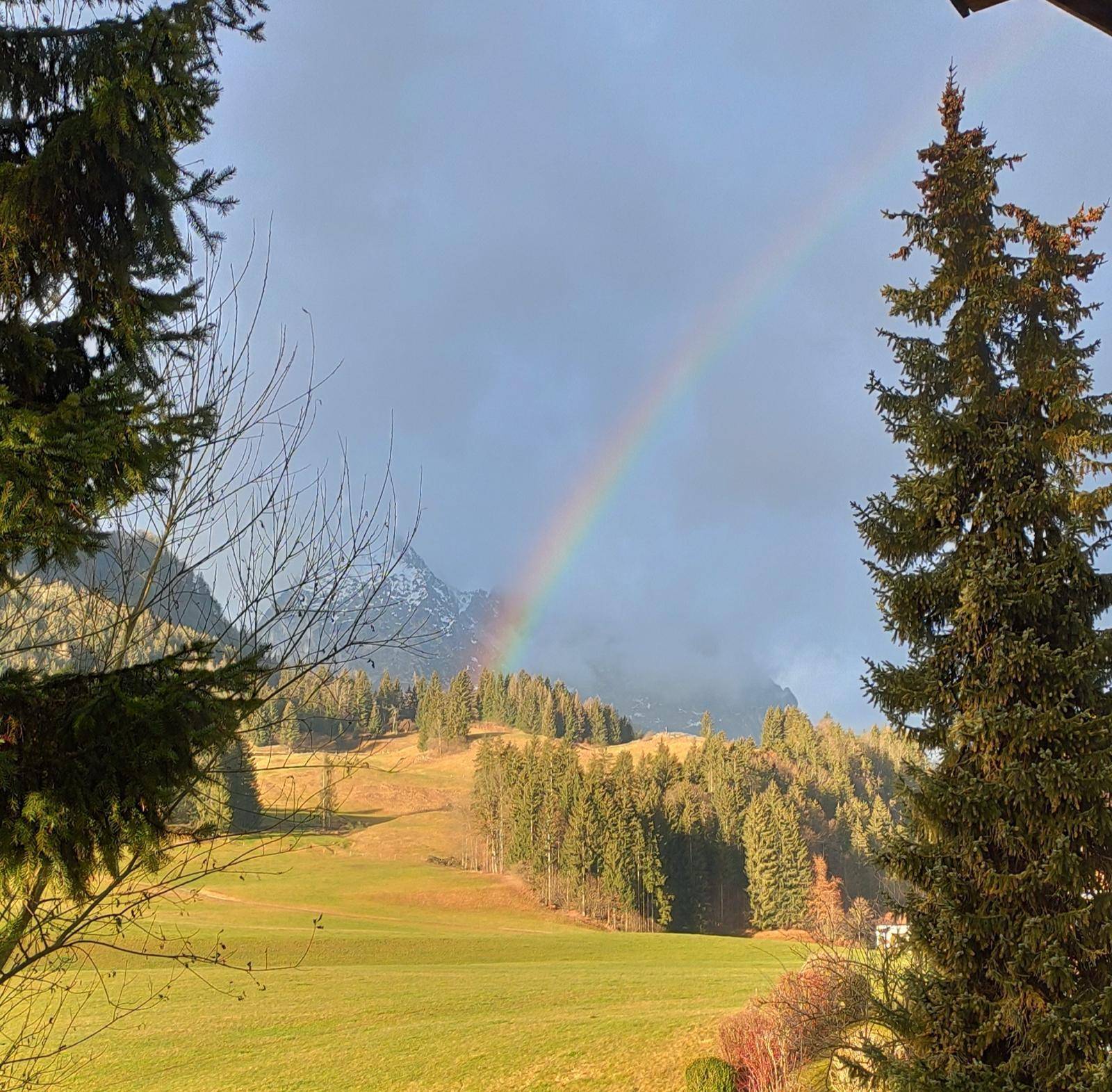 Regenbogen über einer bewaldeten Berglandschaft, gesehen durch Nadelbäume.