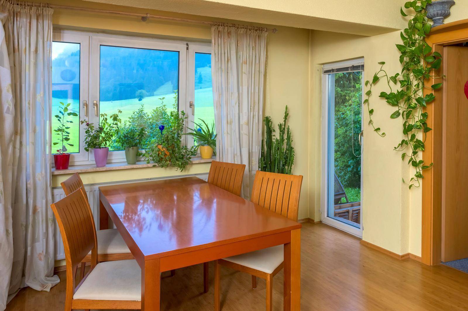 Gemütlicher Essbereich mit Holztisch und Stühlen, Pflanzen am Fenster und Blick ins Grüne.