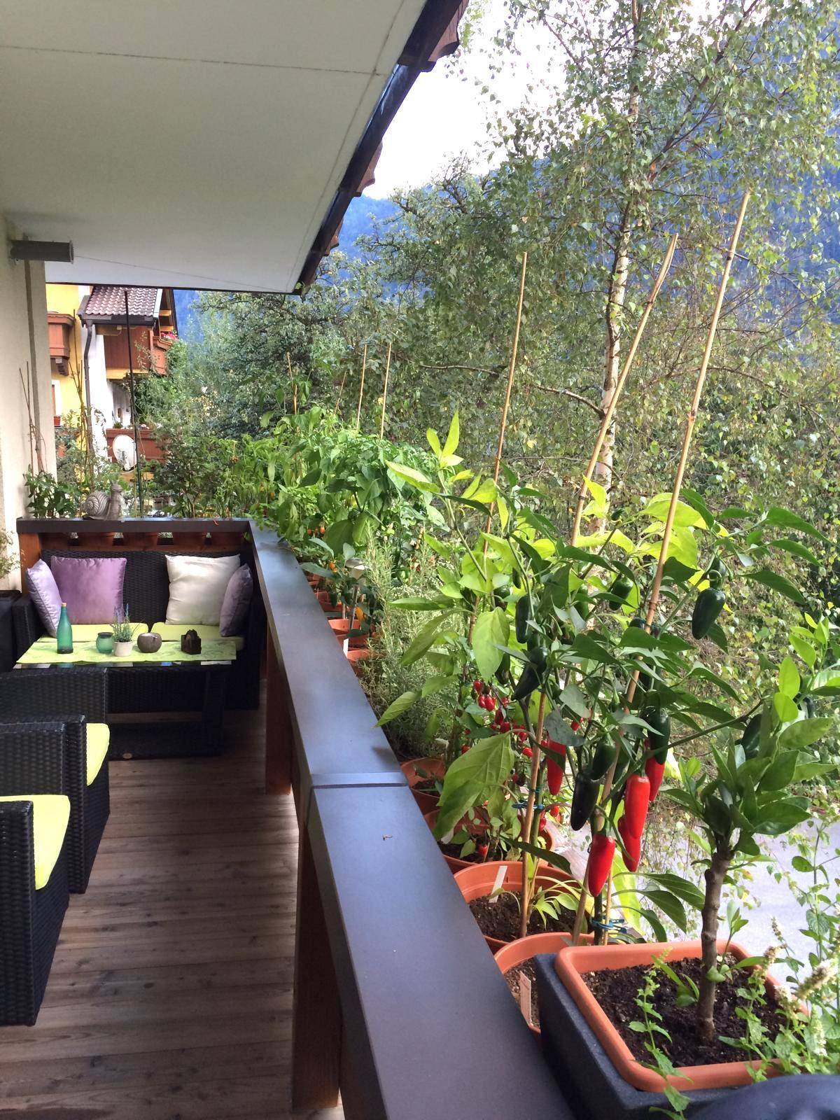 Begrünter Balkon mit Sitzgelegenheiten und Topfpflanzen, ideal zum Entspannen im Freien.