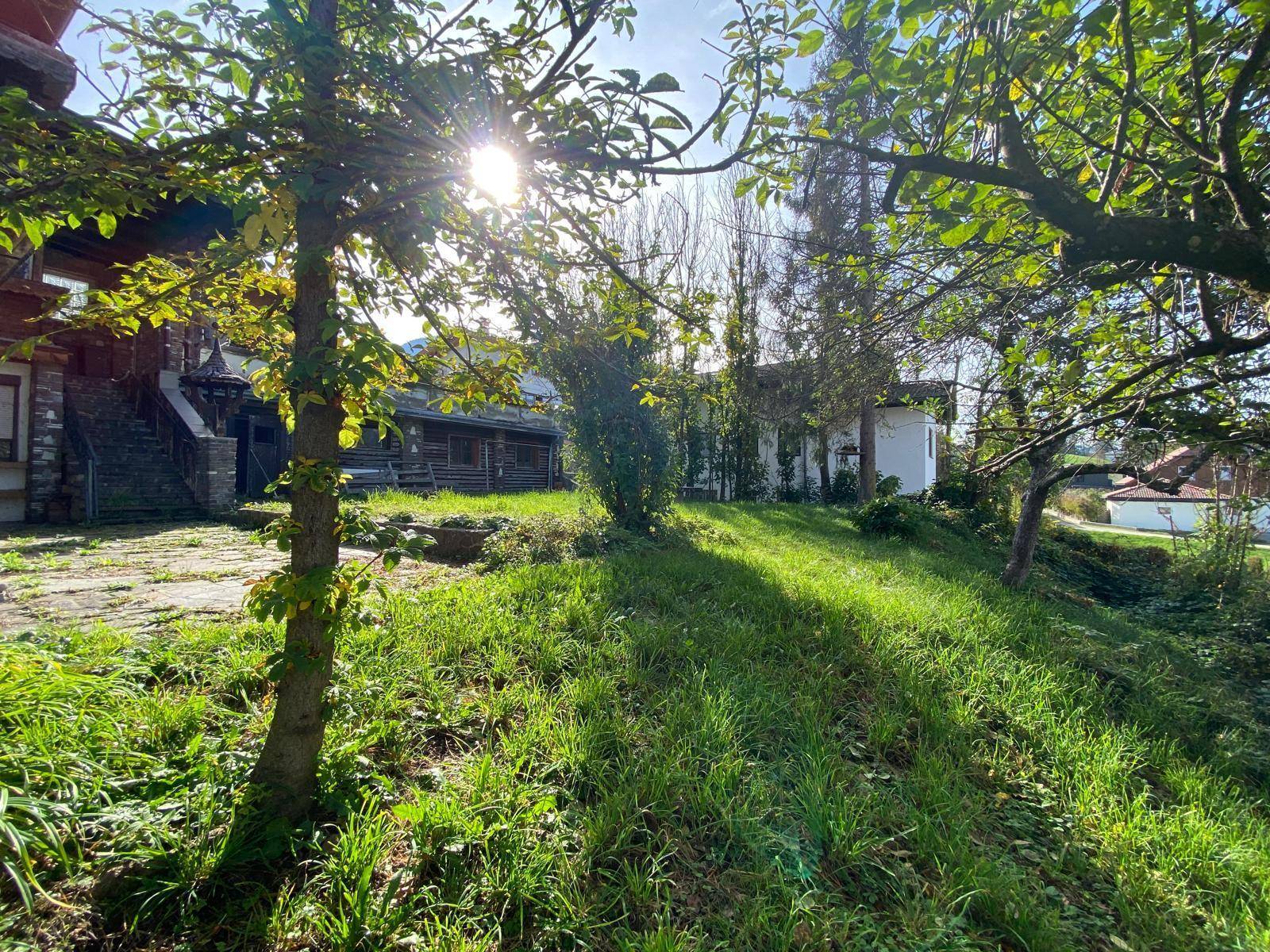 Sonnige Rasenfläche mit Bäumen und Blick auf die Rückseite des Hauses, umgeben von Natur.