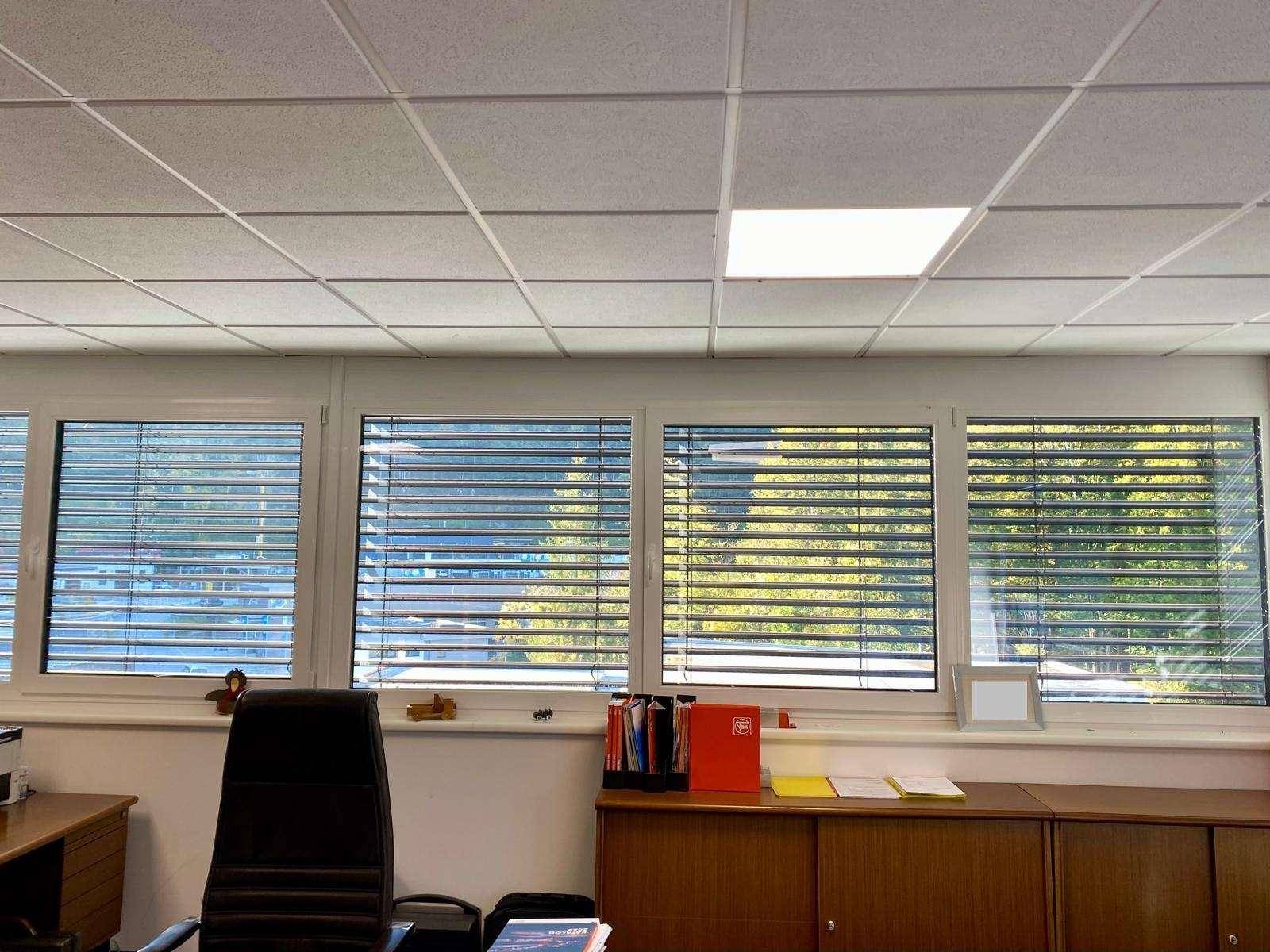 Nahaufnahme der Fenster in einem Büro mit Jalousien, die einen Blick auf die grüne Umgebung ermöglichen.