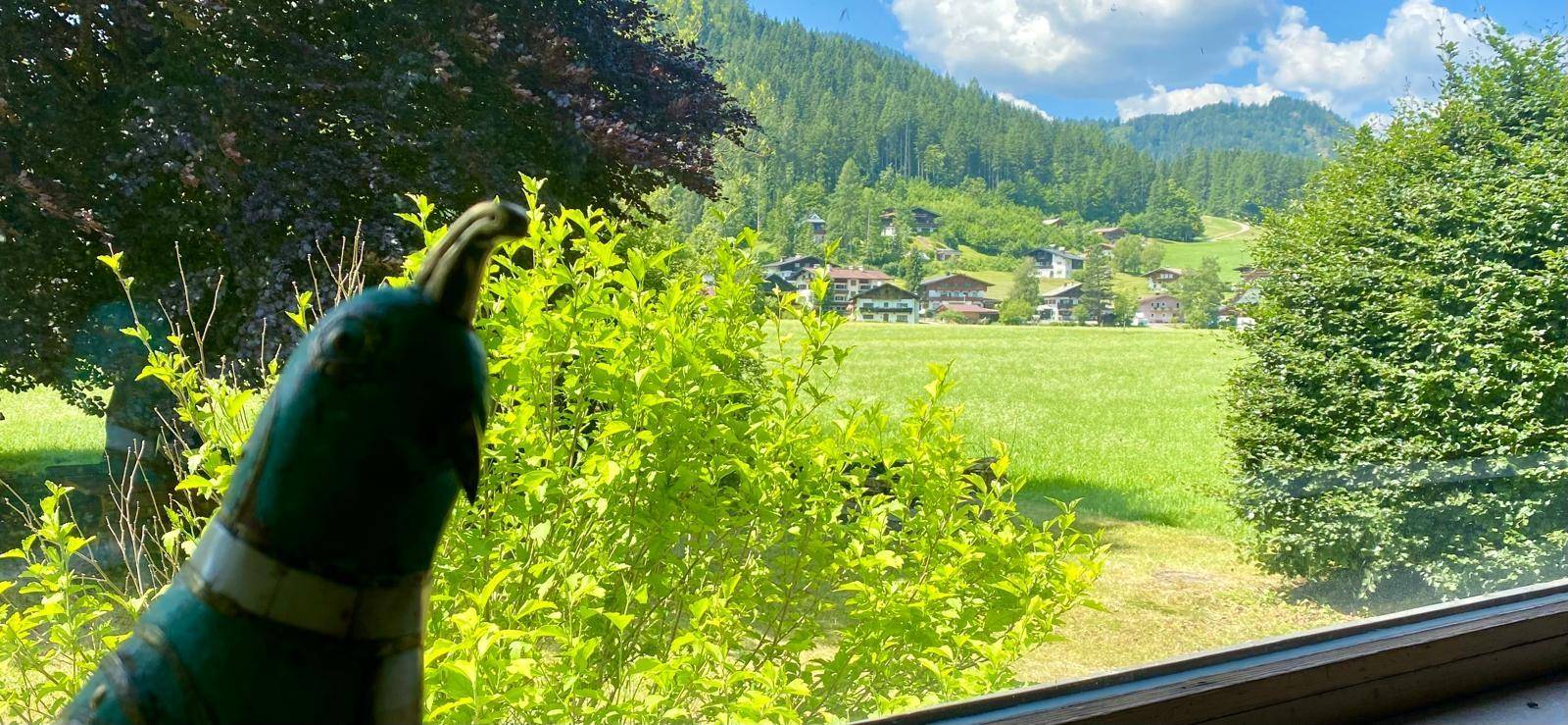 Blick aus dem Fenster auf grüne Wiesen, ein Dorf und die umliegende Berglandschaft.