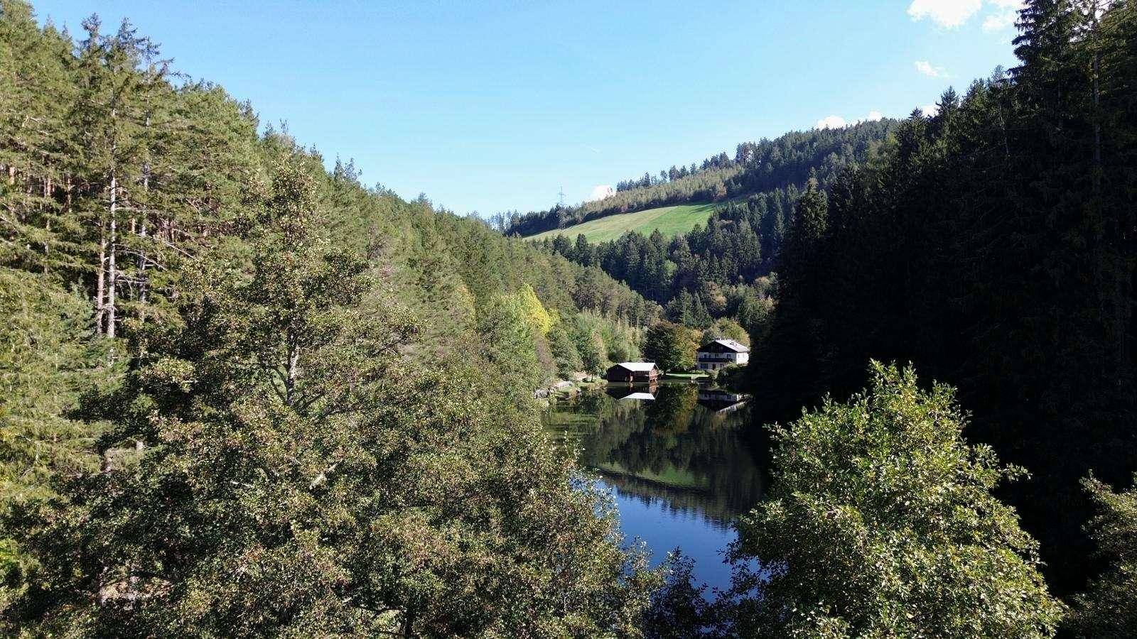 Malerischer Blick auf einen ruhigen See, umgeben von dichtem Wald und grünen Hügeln unter blauem Himmel.