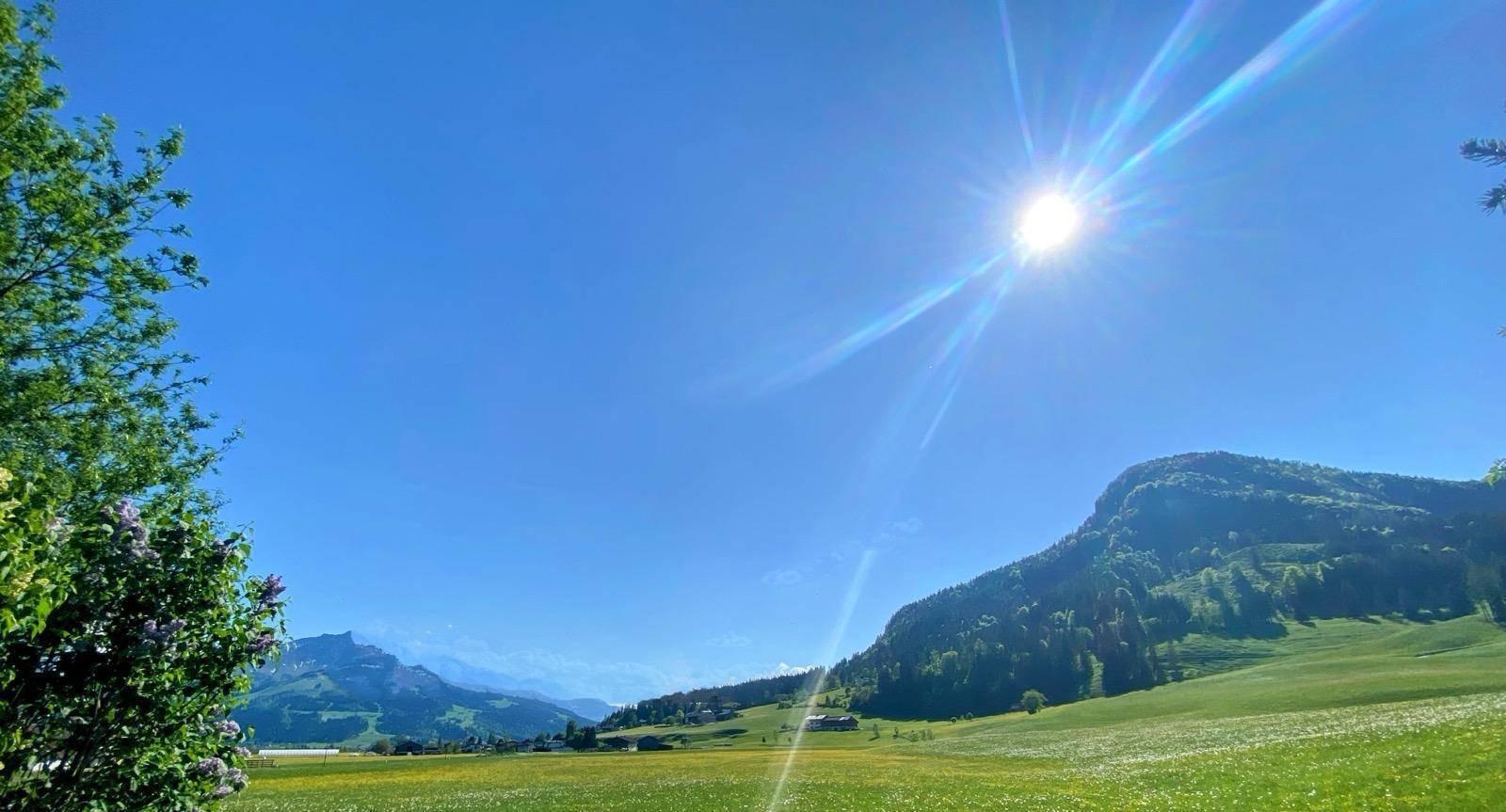 Sonnige Berglandschaft mit weiten grünen Feldern und einem strahlend blauen Himmel.