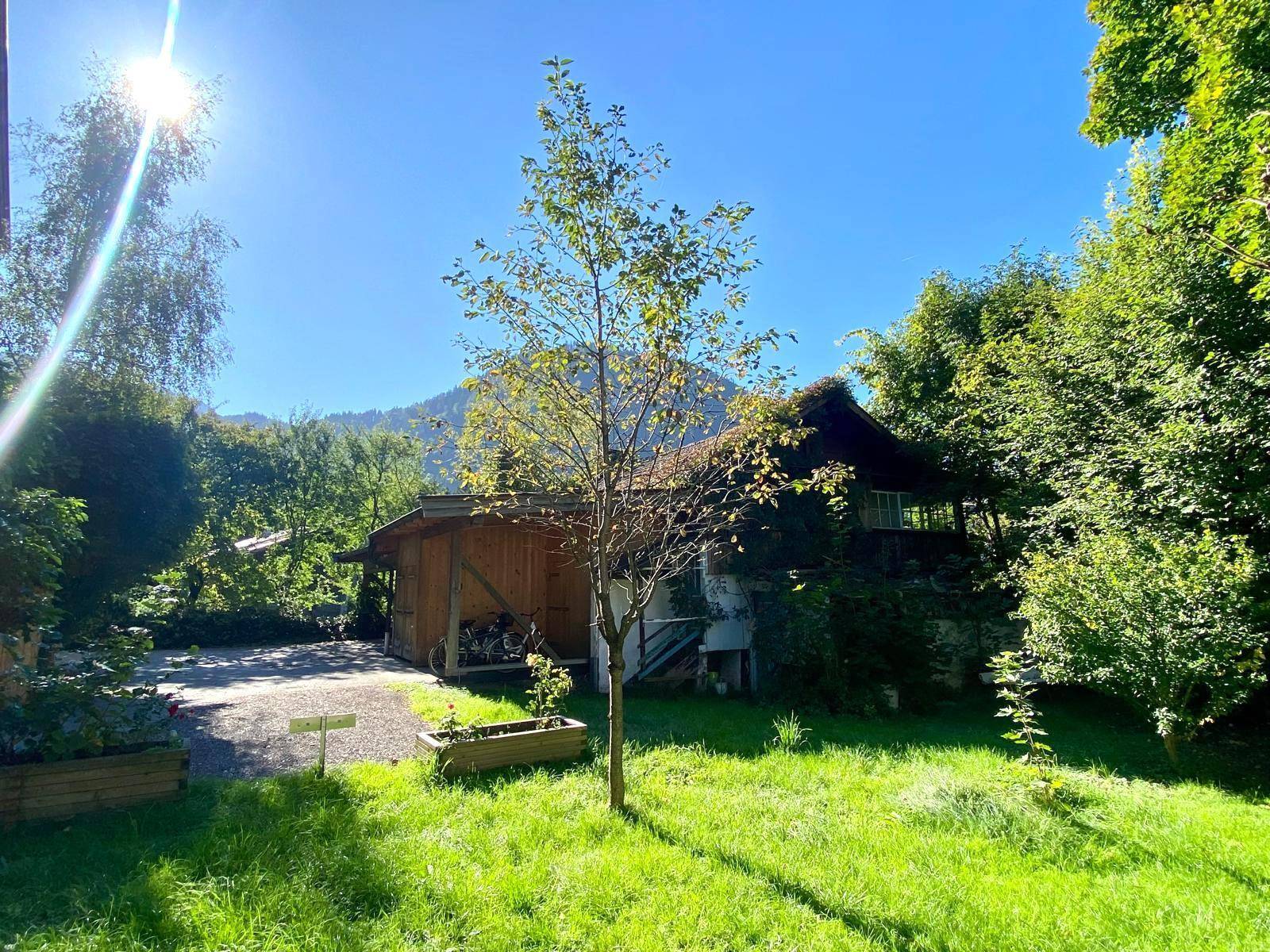 Sonniger Gartenbereich mit Rasen, Bäumen und einem Nebengebäude im Hintergrund.