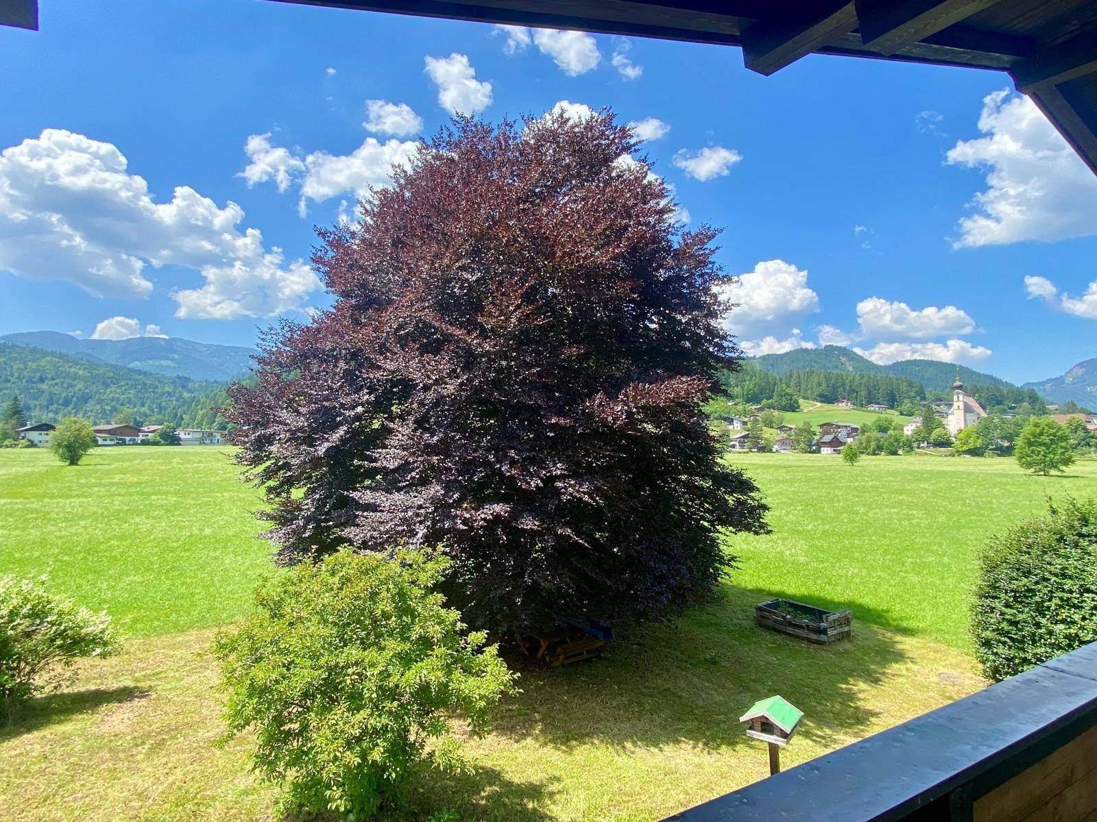 Weitläufiger Blick vom Balkon über grüne Wiesen mit einem großen Baum und Bergpanorama.